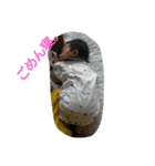 b.y（個別スタンプ：5）