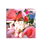 薔薇の花♡City Girl_挨拶メッセージ（個別スタンプ：1）