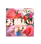 薔薇の花♡City Girl_挨拶メッセージ（個別スタンプ：2）