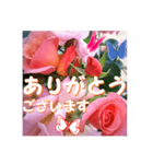 薔薇の花♡City Girl_挨拶メッセージ（個別スタンプ：3）