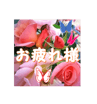 薔薇の花♡City Girl_挨拶メッセージ（個別スタンプ：4）