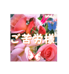 薔薇の花♡City Girl_挨拶メッセージ（個別スタンプ：5）