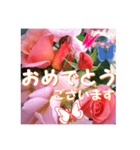 薔薇の花♡City Girl_挨拶メッセージ（個別スタンプ：8）