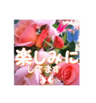 薔薇の花♡City Girl_挨拶メッセージ（個別スタンプ：9）
