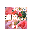 薔薇の花♡City Girl_挨拶メッセージ（個別スタンプ：10）