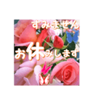 薔薇の花♡City Girl_挨拶メッセージ（個別スタンプ：12）