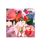薔薇の花♡City Girl_挨拶メッセージ（個別スタンプ：13）