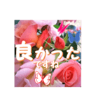 薔薇の花♡City Girl_挨拶メッセージ（個別スタンプ：14）