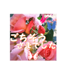 薔薇の花♡City Girl_挨拶メッセージ（個別スタンプ：16）