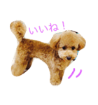 サーシャちゃん（個別スタンプ：1）