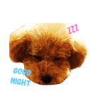 サーシャちゃん（個別スタンプ：4）