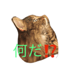 ニャンだワン（個別スタンプ：4）