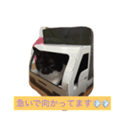 ニャンだワン（個別スタンプ：10）