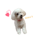 ぷりんちゃん。2（個別スタンプ：2）