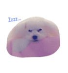 ぷりんちゃん。2（個別スタンプ：7）