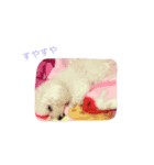ぷりんちゃん。2（個別スタンプ：8）