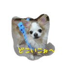 ネル（個別スタンプ：3）