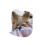 ネル（個別スタンプ：7）