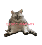 ぴのとぱふぃ（個別スタンプ：2）