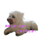 ぴのとぱふぃ（個別スタンプ：9）