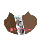 ぴのとぱふぃ（個別スタンプ：16）