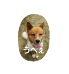 ラッキーライフ！（個別スタンプ：8）