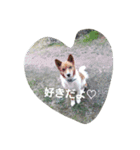 ラッキーライフ！（個別スタンプ：10）