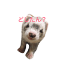むぎっちスタンプ（個別スタンプ：5）