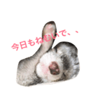 むぎっちスタンプ（個別スタンプ：8）