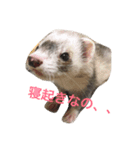 むぎっちスタンプ（個別スタンプ：13）