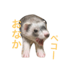 むぎっちスタンプ（個別スタンプ：14）