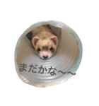 むぎっちスタンプ（個別スタンプ：15）
