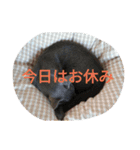 今日の出雲（個別スタンプ：4）