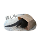今日の出雲（個別スタンプ：23）