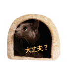 今日の出雲（個別スタンプ：27）