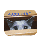 今日の出雲（個別スタンプ：30）