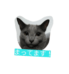 今日の出雲（個別スタンプ：37）
