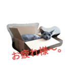 今日の出雲（個別スタンプ：38）
