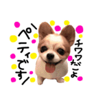 あこ♡あこ♡あこ♡♡（個別スタンプ：16）