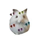 ライオンラビット☆もぐもぐ ☆うさぎ（個別スタンプ：15）