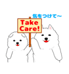 サモエド犬 モフハチロウ2 英語と日本語版（個別スタンプ：4）