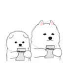 サモエド犬 モフハチロウ2 英語と日本語版（個別スタンプ：16）