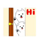 サモエド犬 モフハチロウ2 英語と日本語版（個別スタンプ：25）