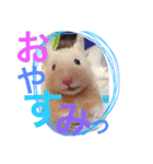 みそたろう.（個別スタンプ：3）