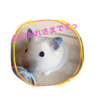 みそたろう.（個別スタンプ：4）