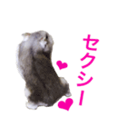 無気力なぺん（個別スタンプ：2）