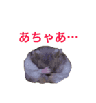 無気力なぺん（個別スタンプ：3）