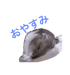 無気力なぺん（個別スタンプ：4）