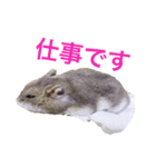 無気力なぺん（個別スタンプ：6）