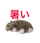 無気力なぺん（個別スタンプ：7）